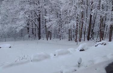 Somewhere Between Apartments - Foto 2