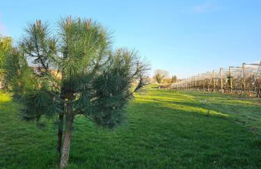 Le Nid Suspendu - Photo 42