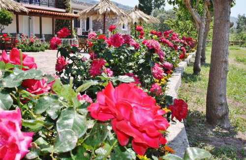 Villa Vicky - Foto 45