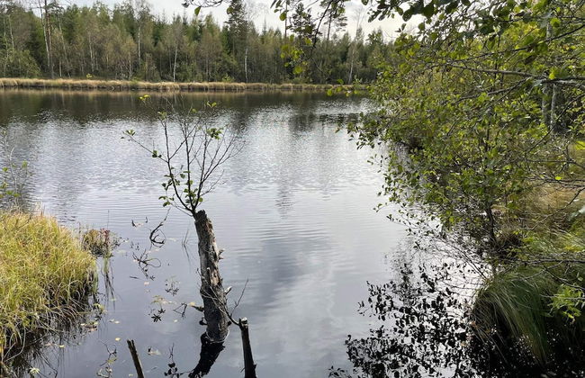 6 Person Holiday Home in Asarum-by Traum - Photo 32