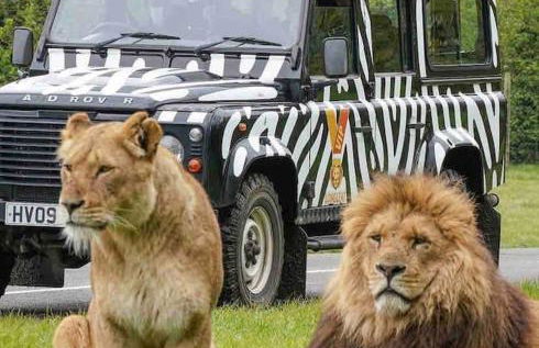 Large historic family home nr Longleat and Bath - Foto 21