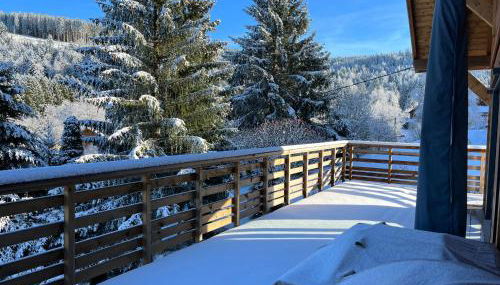 CHALET LES PRIMEVÈRES 4 Étoiles - Foto 4