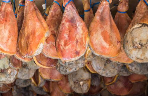 Baionakoa Résidence - Foto 15