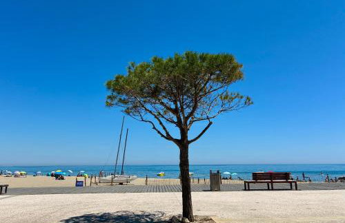 La franqui , nouveau , Duplex pour 2 ou 3 ,piscine, mer ,soleil , station familiale - Foto 3