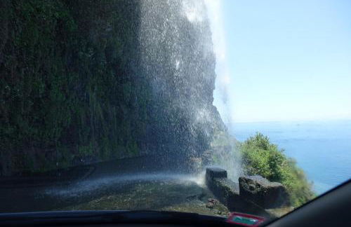 OurMadeira - Vista Mar - Foto 29