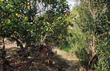 Casa Marlo, Spacious House in the Lively Centre of Cómpeta - Foto 60