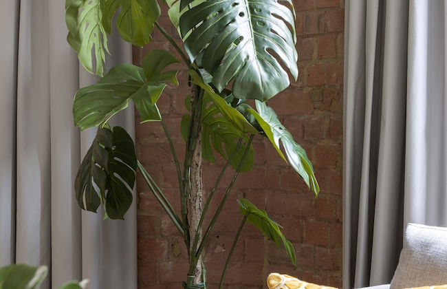 Cove Arne Street - Foto 32