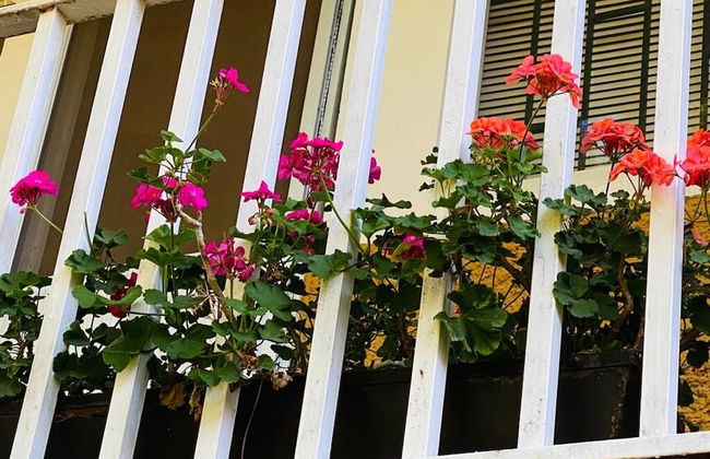 Estancia Centrico, Wifi, Y Servicios Incluidos - Foto 12