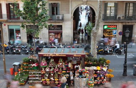 Apartments Rambla 102 - Foto 23