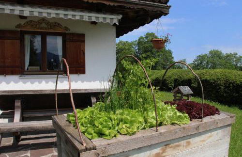 Bocksleitnerhof - Foto 41