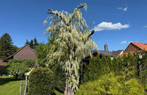 Tiny House am See Dillich - Hunde willkommen - Eigener eingezäunter Garten - Ruhige Lage - Klima - Foto 30