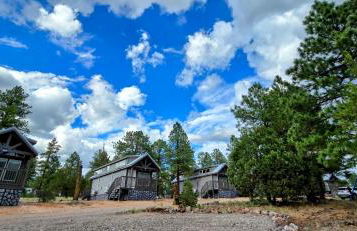 Cabin with a Mountain view 6B - Photo 26