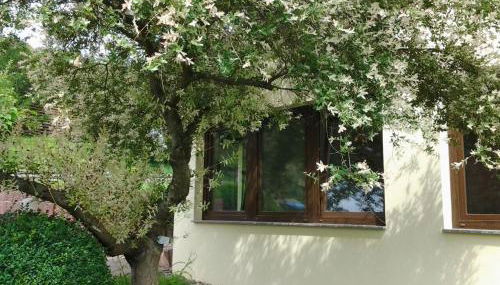 Ferienhaus Waldblick - Foto 4