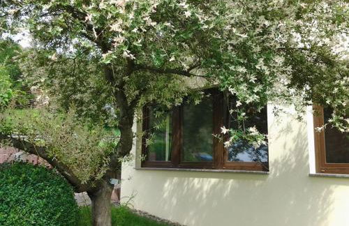 Ferienhaus Waldblick - Foto 4