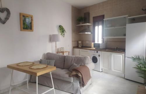 Estudio céntrico - Foto 1