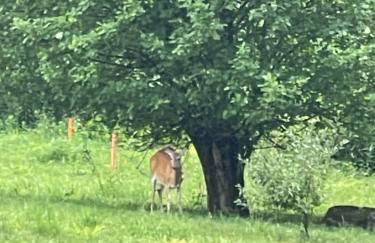 CampRV Main Lodge - Foto 14