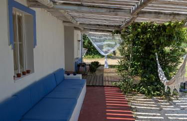 Monte das Aranhas - Foto 21