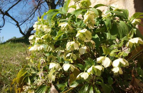 Domaine de la Cipière - Foto 43