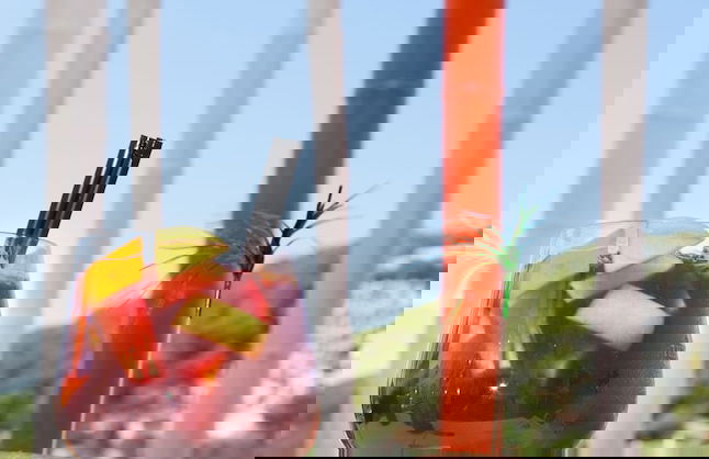 Apartamentos Typic Oasis Sa Tanca - Foto 36