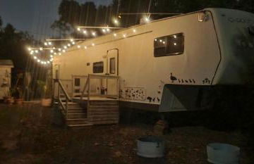 Shroom-life farm Duck Hut - Foto 15