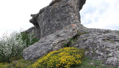 Casas Rurales El Mayorazgo - Foto 3