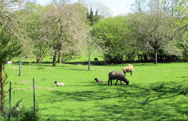 Au Verger Fleuri - Foto 14