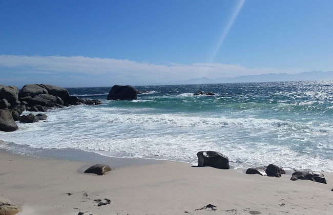 Seagetaway - Photo 31