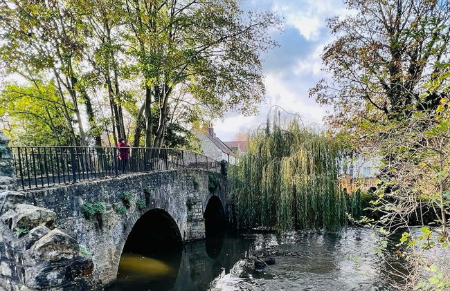 Dapps Hill Haven - between Bristol and Bath, both 9 mins by train! - Foto 26