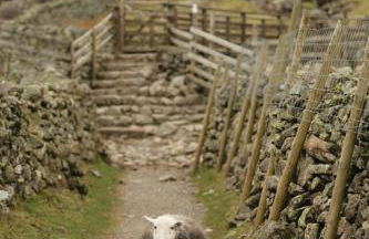 Pheasant Lodge Scottish Borders - Foto 42