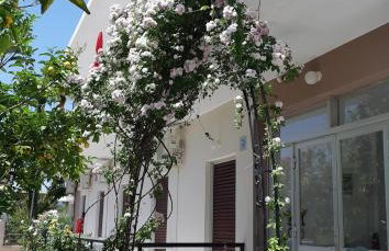 KONTOGIANNIS lihas club 2 - Photo 16