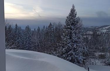 Nad Jodłami Domek w Górach Laliki - Beskid Żywiecki - Foto 43