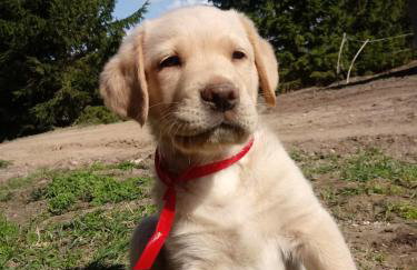 Zakątek Szczęścia Eko Agroturystyka - Foto 39