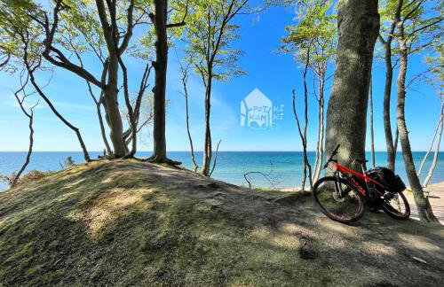 Patyki Kamyki - Foto 75