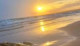 The Situation House - Foto 2