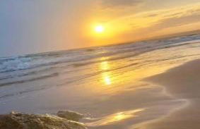 The Situation House - Foto 2