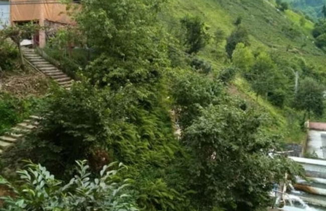 Yesil Doga Tatil Apart - Foto 19