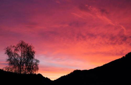 Ferienwohnung mit Aussicht im Bergdorf Steibis im Allgäu - Foto 45