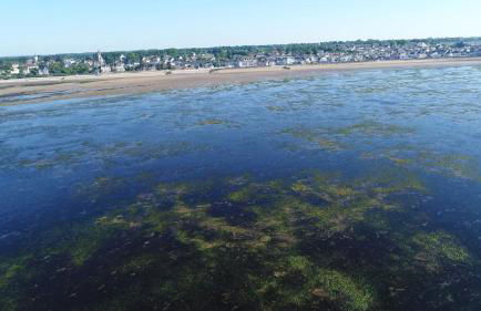 Gite de Grandcamp Maisy - Photo 19