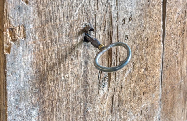 Tiny-mini Bertl With Hot Tub - Foto 10