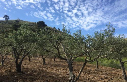 Agriturismo Casebianche - Foto 14