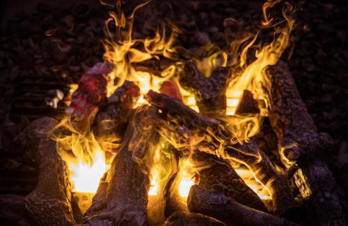 Ferienwohnungen - Alpenhotel Fischer 4 Sterne - Landhaus Inge Adults Only - Foto 22