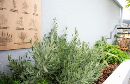 Starry View - Foto 9