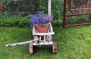 Kuća za odmor Ema - Foto 51