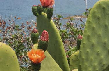 Villa Ortensia - Foto 20