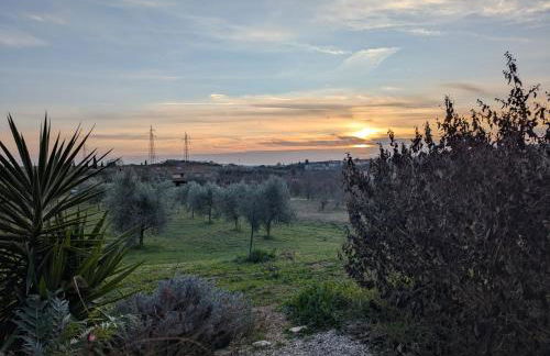Namaste - Mare, Lago di Bolsena e Terme di Vulci - Foto 20