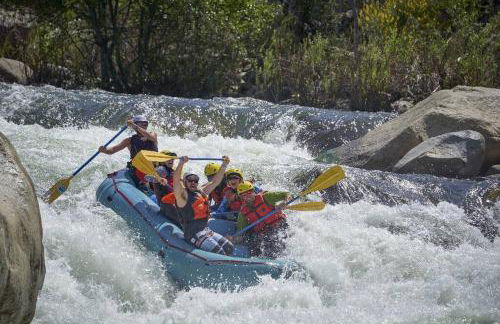 Sequoia Splendor, inside Kings Canyon NP by Visitors Center - Foto 57