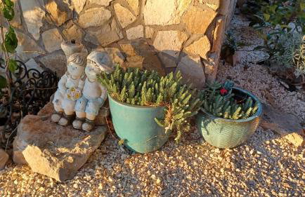 M&S Paradise Bilice, Šibenik - Foto 15