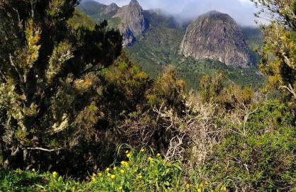 Los Corralitos - Foto 59