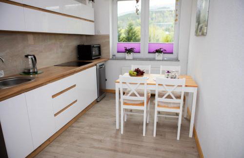 Mieszkanie Węgierska Górka - Foto 9