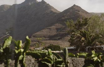 Canaryislandshost I Natural - Foto 35